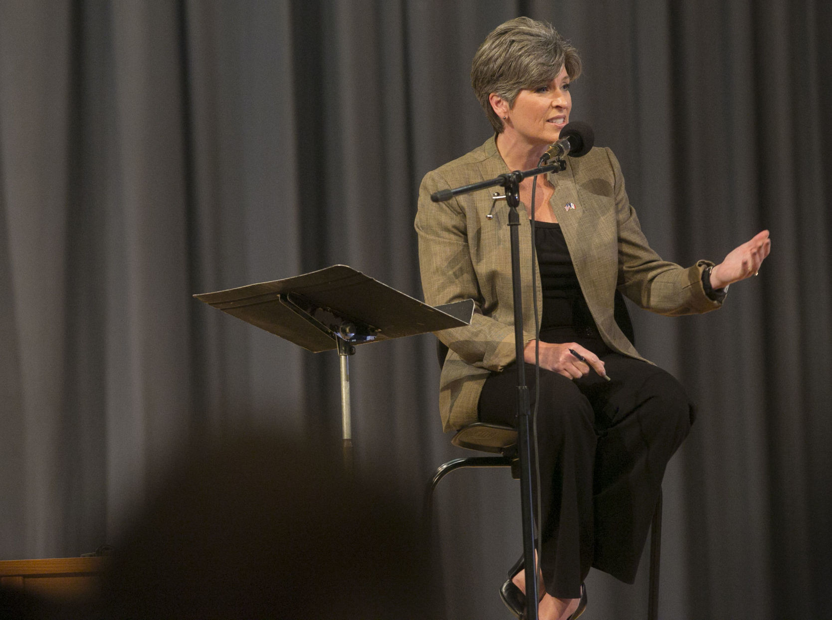 Joni Ernst CC 4